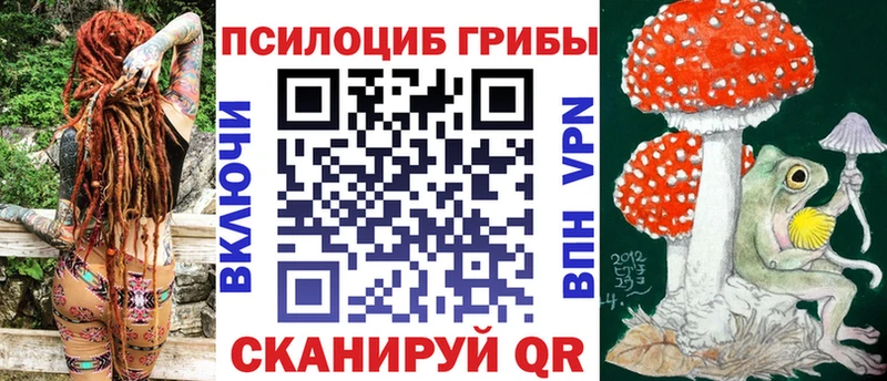 кракен онион дарнет шоп Калининград Галлюциногенные грибы Psilocybe
